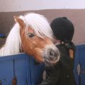 Mädchen und Pony - Wülfrath 08-06