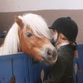 Mädchen und Pony 1 - Wülfrath 08-06